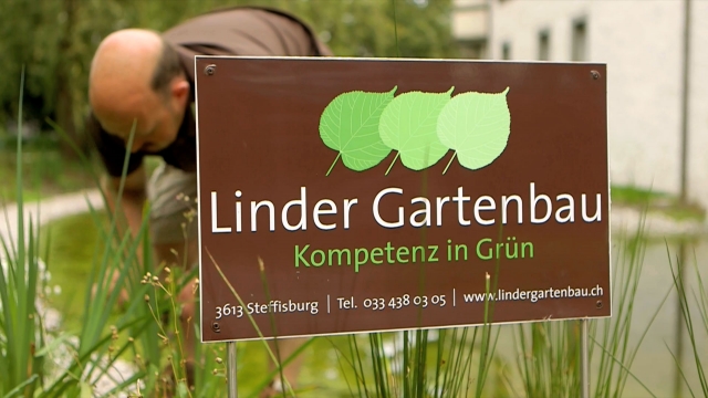 Übersichtsbild