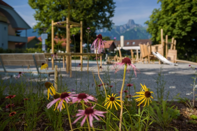 Spielplatz Allmendingen